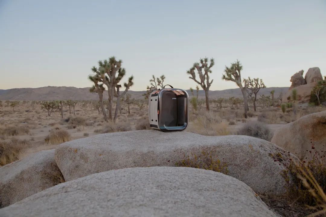 他放棄當演員，給貓做房子，6年賣出100萬個