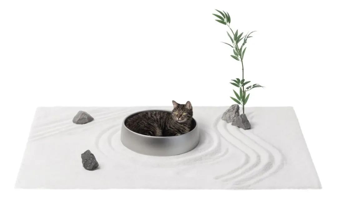 他放棄當演員，給貓做房子，6年賣出100萬個