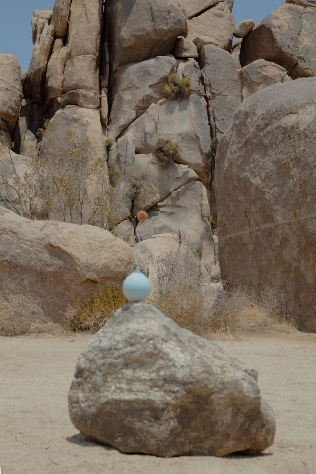 他放棄當演員，給貓做房子，6年賣出100萬個