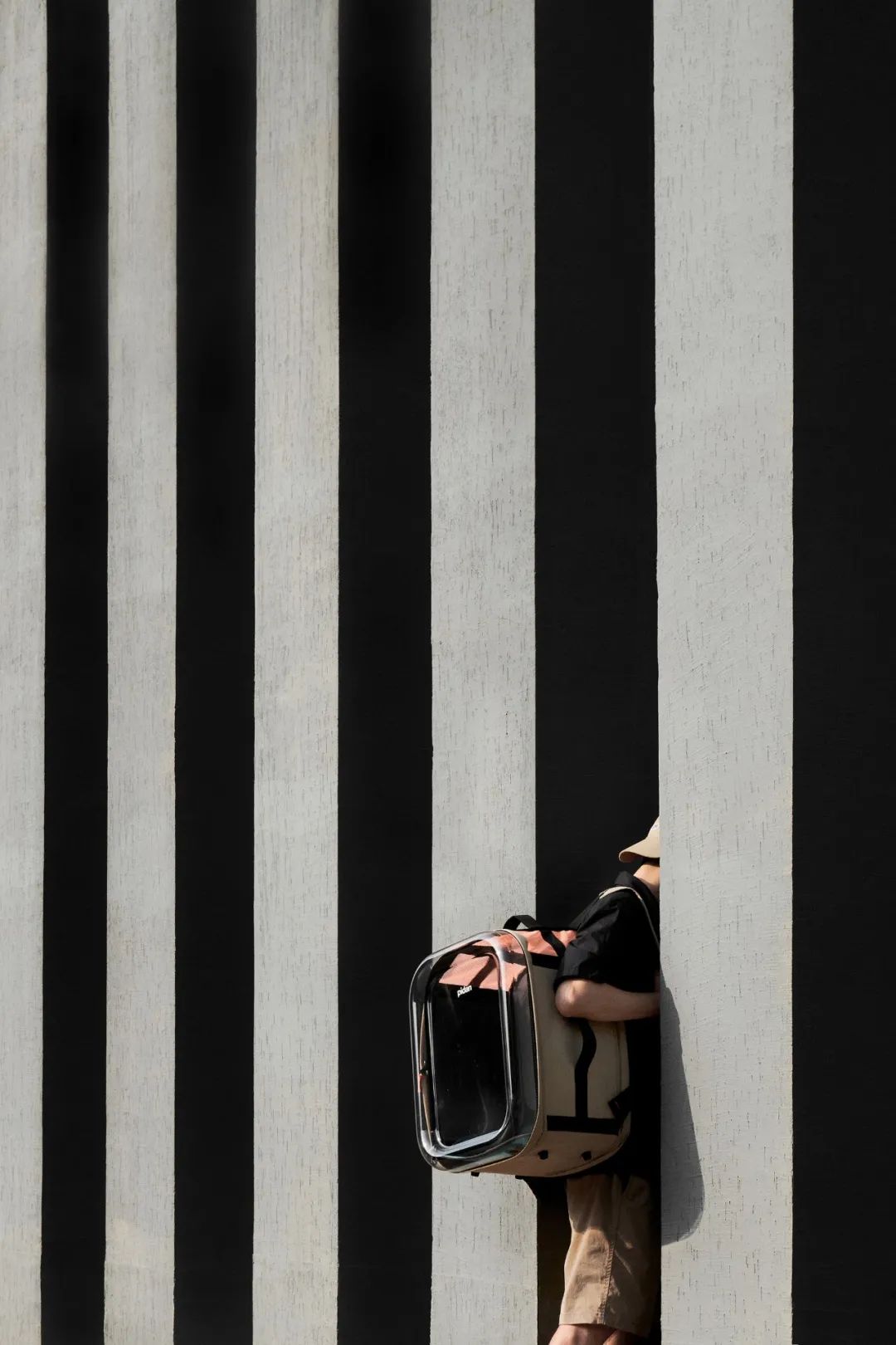 他放棄當演員，給貓做房子，6年賣出100萬個