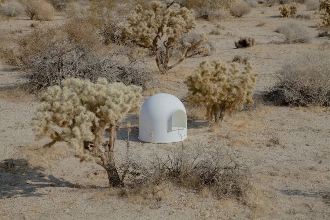 他放棄當演員，給貓做房子，6年賣出100萬個