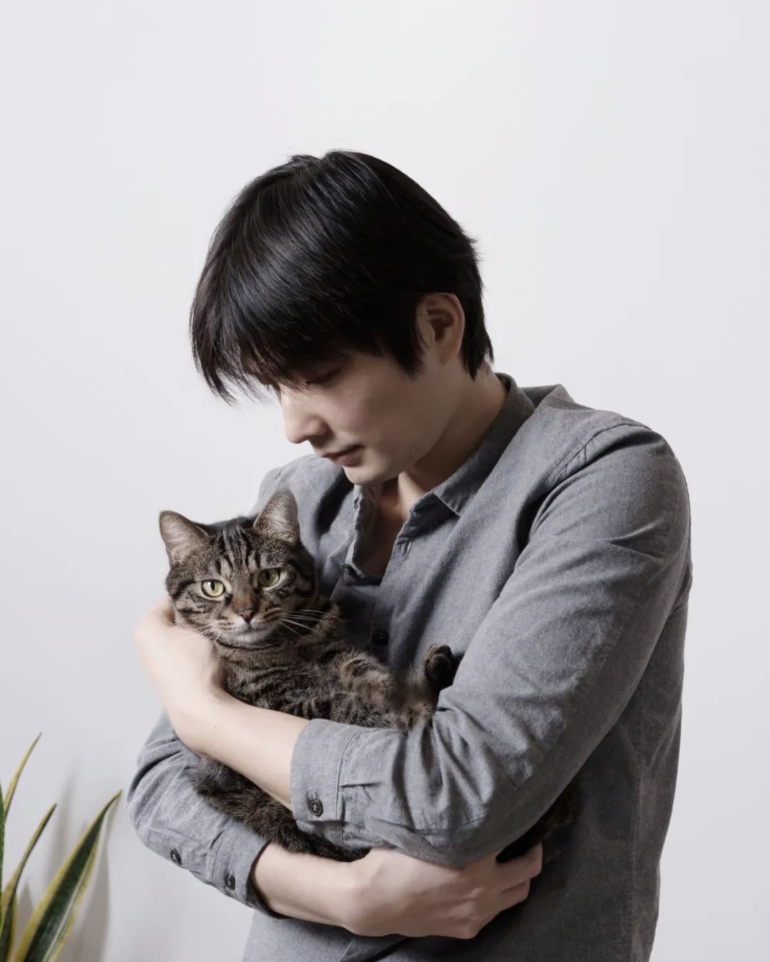 他放棄當演員，給貓做房子，6年賣出100萬個