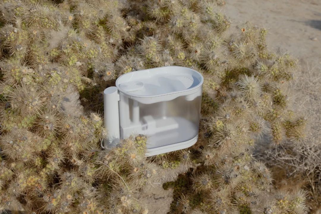 他放棄當演員，給貓做房子，6年賣出100萬個