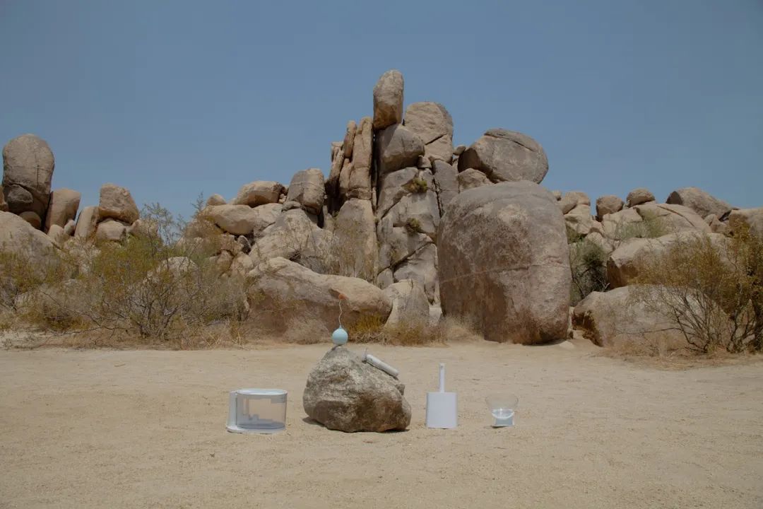 他放棄當演員，給貓做房子，6年賣出100萬個