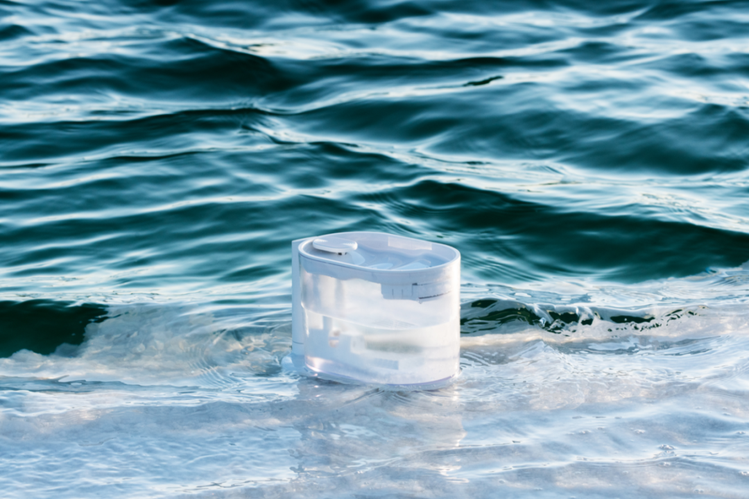 他放棄當演員，給貓做房子，6年賣出100萬個